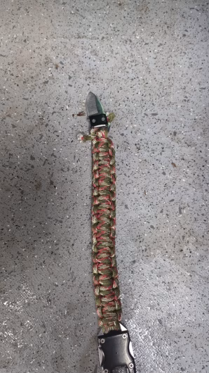 img_1660-1-298x530 Protest AUR în București: Participare redusă și incidente de securitate